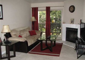 Apartment for Rent in Paradise Hills